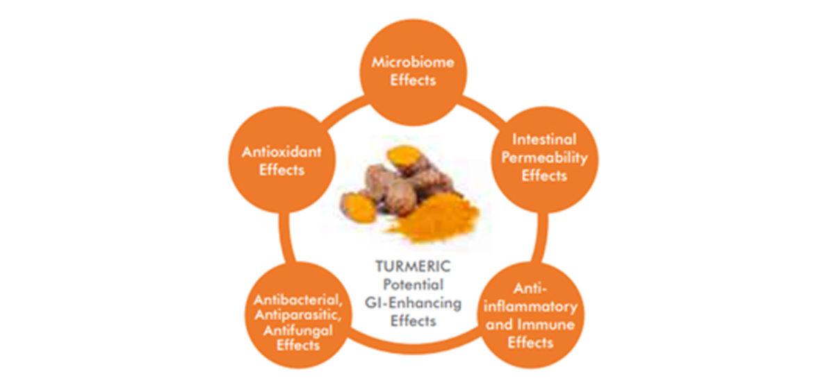 Figure 3: Potential Gastrointestinal-Enhancing Effects of Turmeric that May Contribute to its Systemic Health Effects.